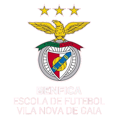 Fut. Benfica V. N. Gaia Foot 9 U13