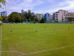 Henveiru Football Ground