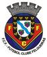 FC Felgueiras Foot 7