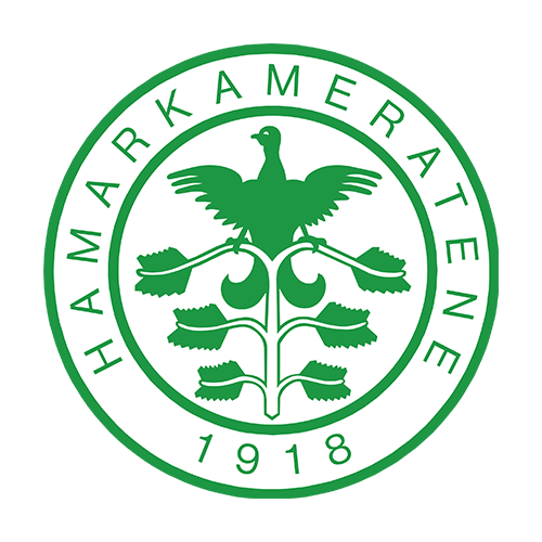 HamKam 2
