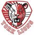 York Lions