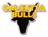 Calcutta Bulls