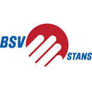 BSV Stans 2