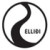 Ellidi